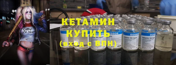крисы Горняк