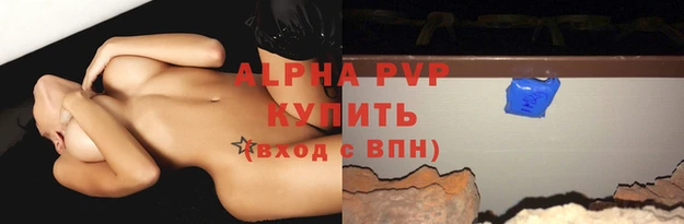 крисы Горняк
